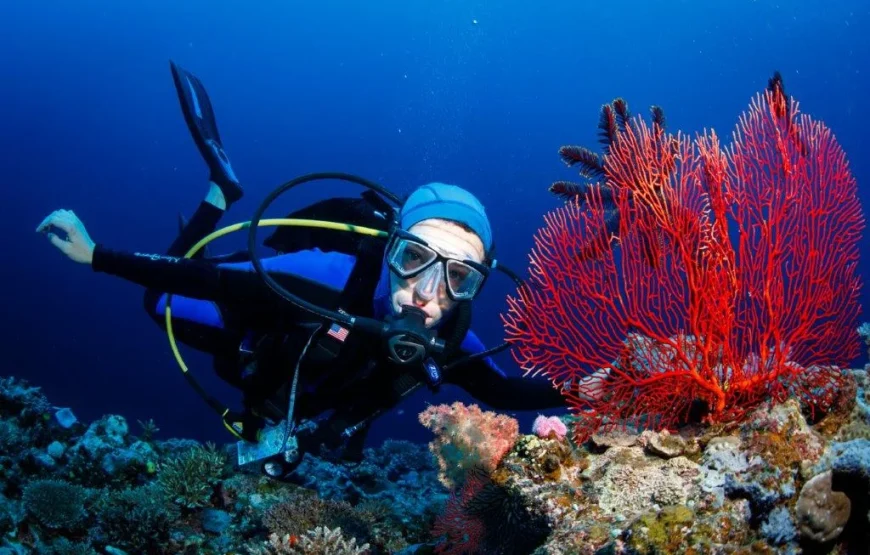Padi Open Water Diver Fiji