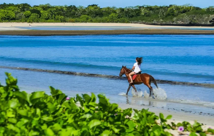 Coral Coast Beach Horse Riding Tour Fiji