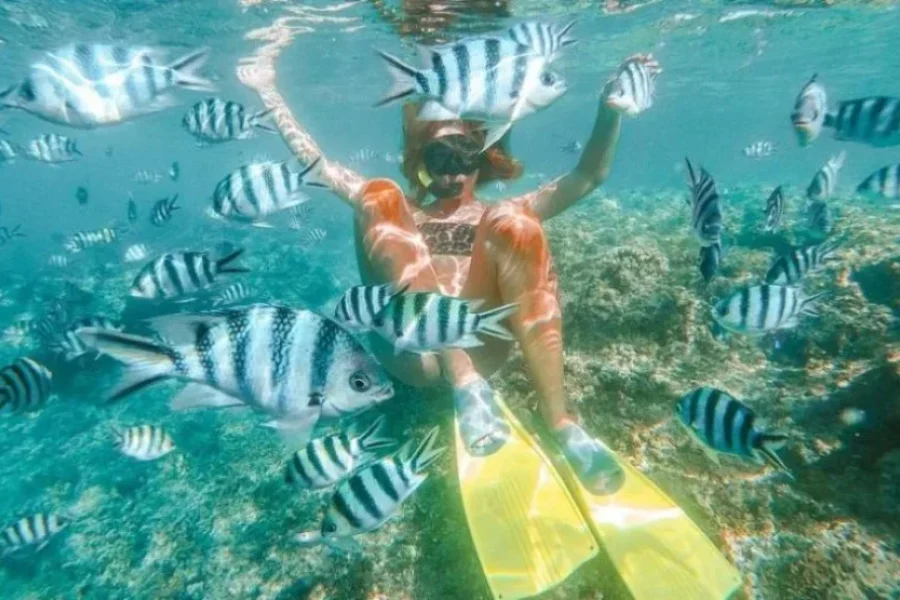 Tropical Fiji Island Hopping