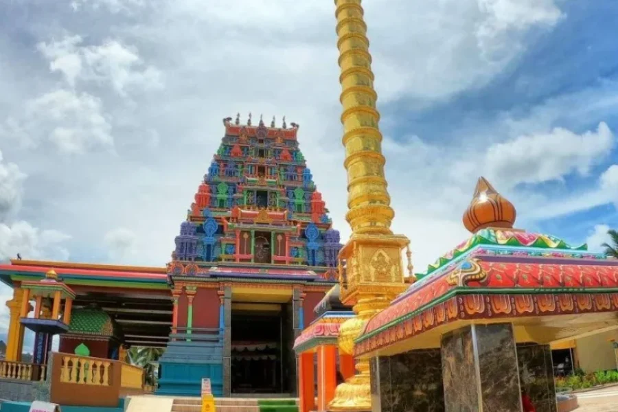 Nadi Full Day Tour Up to 40% Off in Fiji