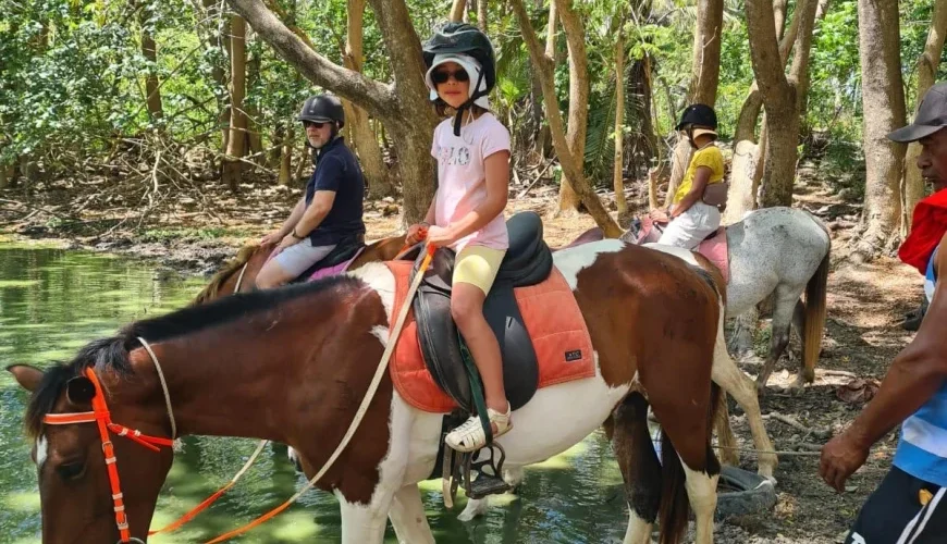Natadola Beach Horse Riding Experience – A Scenic Adventure in Fiji