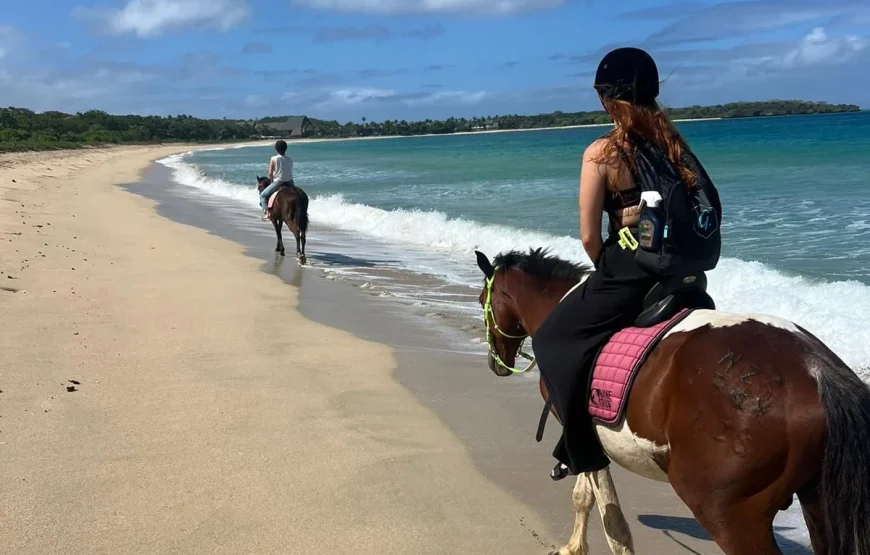 Natadola-Beach-Horse-Riding-Fiji-–-AU95-5-870x555