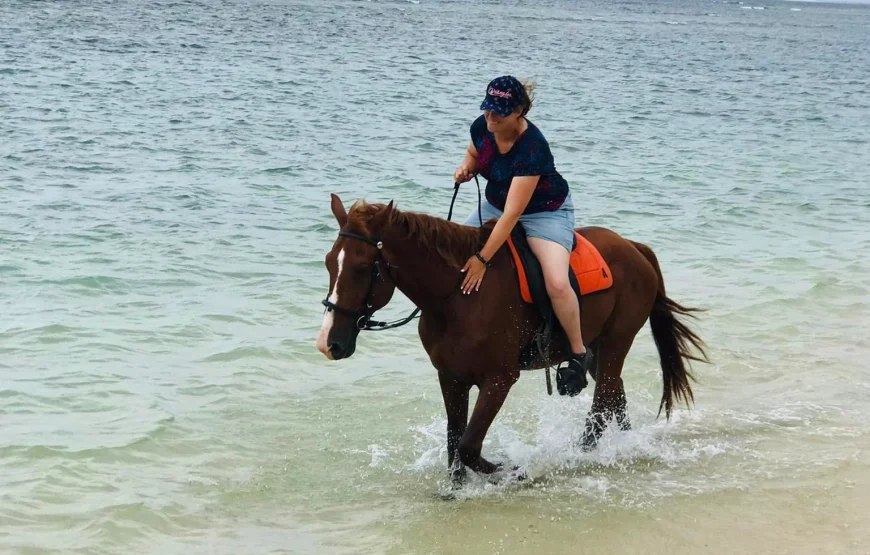 Natadola-Beach-Horse-Riding-Fiji-–-AU95-7-870x555