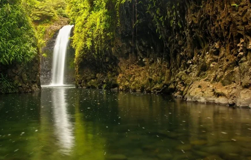 Iconic Waterfall Tour Fiji