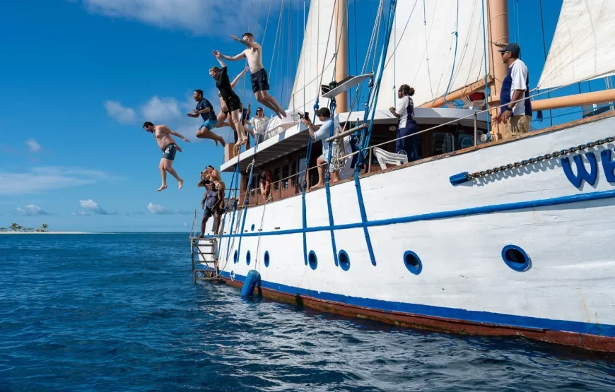 Whale’s Tale Cruises Fiji (Denarau Island)