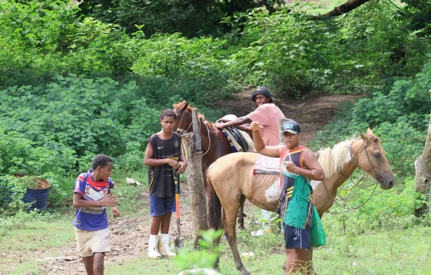 Explore Naihehe Cave Tour Sigatoka Fiji