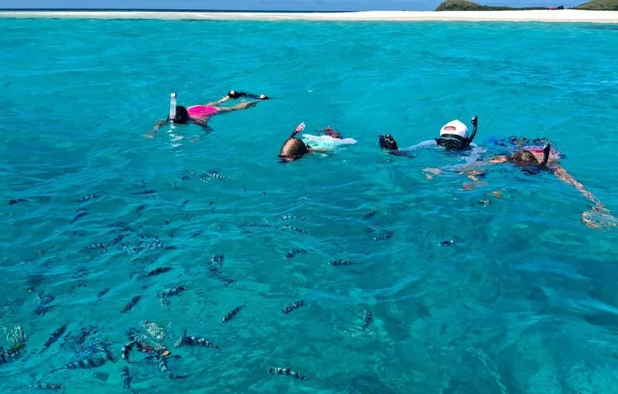 Fiji Island Hopping Day Cruise Private Tours