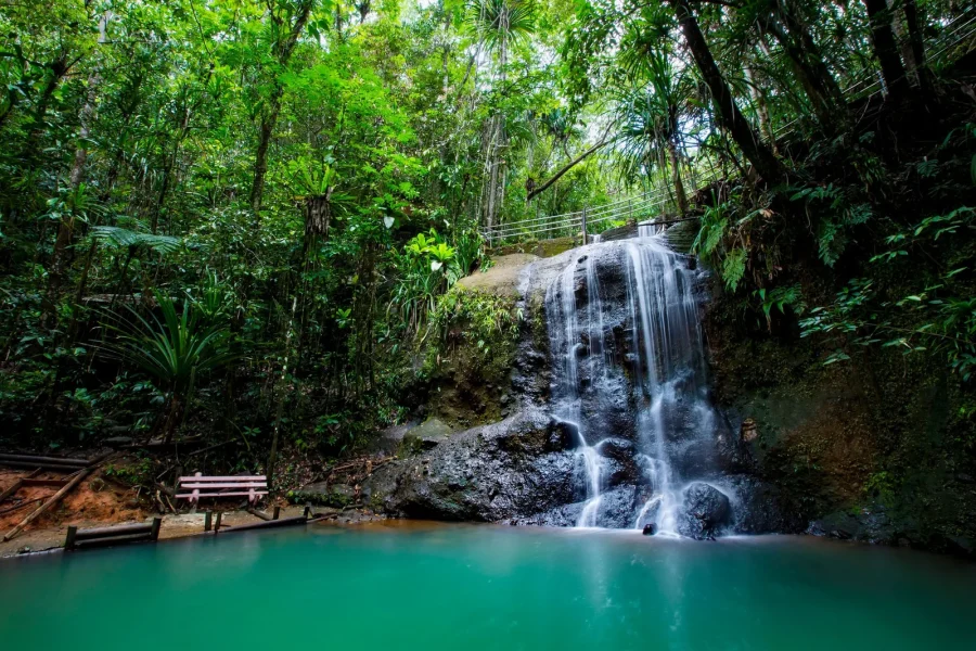 Colo-i-Suva Forest Waterfall Tour