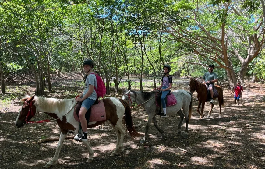 Horseriding in Fiji