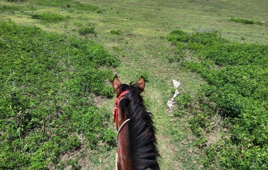 Horseriding in Fiji