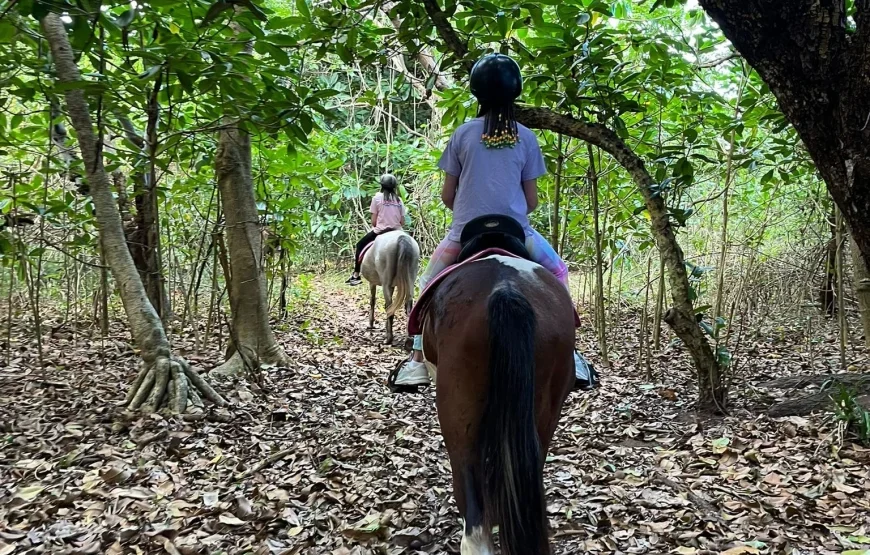 Horseriding in Fiji
