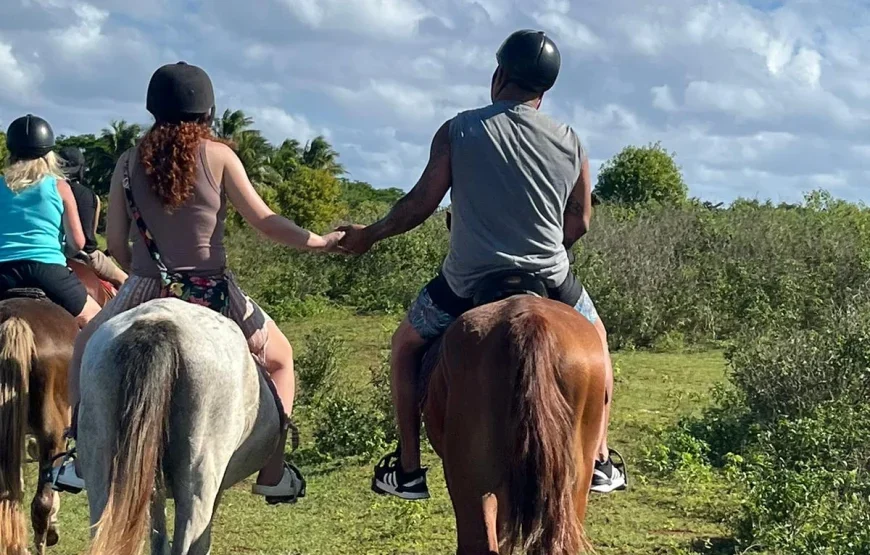 Natadola Beach Horse Riding Tour – AU$139 ( 90 Minute Ride )