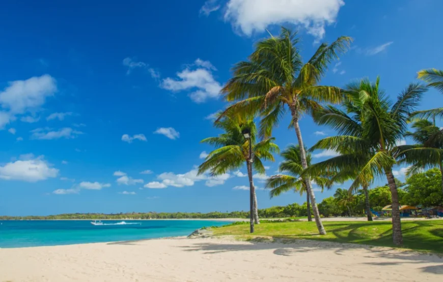 Natadola Beach Tour Fiji