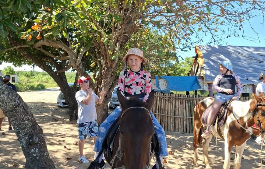 Natadola Beach Horse Riding Fiji – Drone Photography Included
