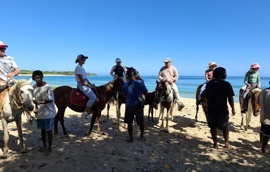 Natadola Beach Combinational Horse Riding Fiji