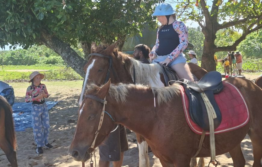Natadola Beach Horse Riding Fiji – Drone Photography Included