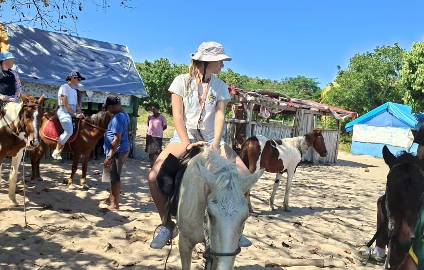 Natadola Beach Combinational Horse Riding Fiji