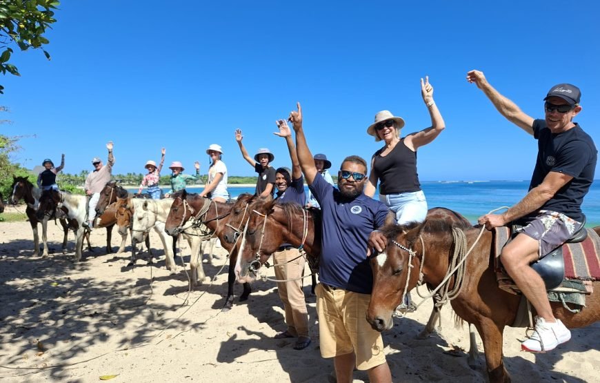 Natadola Beach Combinational Horse Riding Fiji