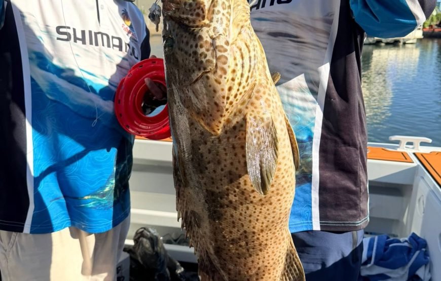 Extreme Day charters  – 7 Hours