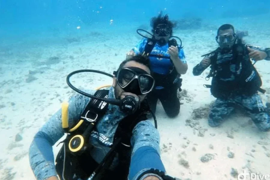 Island Snorkel