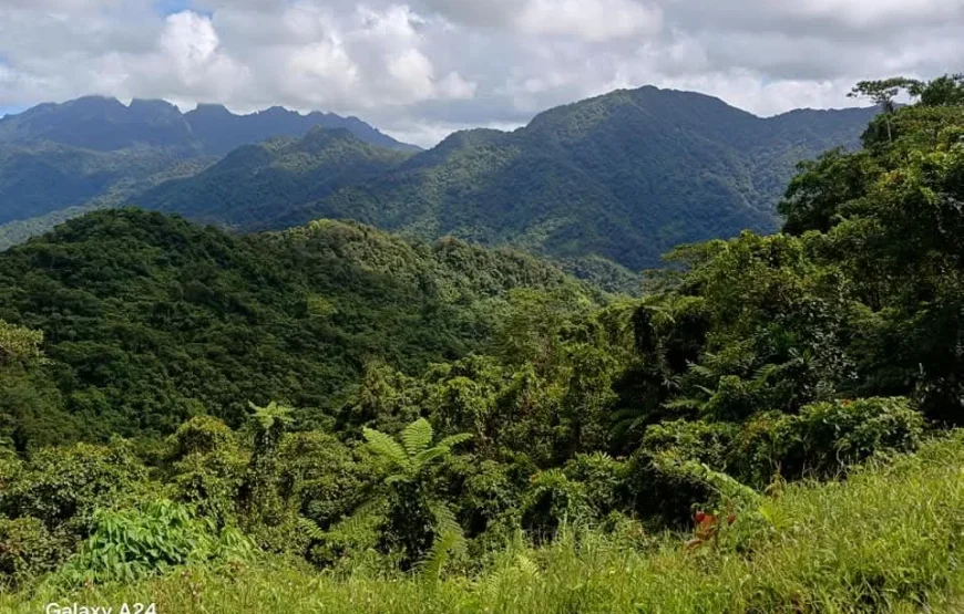 Namosi Off-Road E-Bike Tours (5hrs)