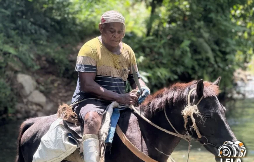 Namosi Highland Mountain View Horse Riding & Village Tour