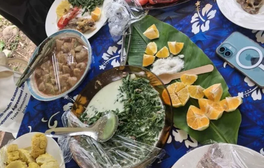 Highland Village Homestay Experience in Fiji