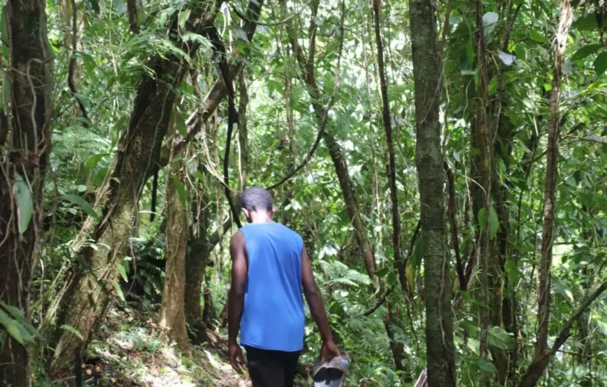 Highland Village Homestay Experience in Fiji