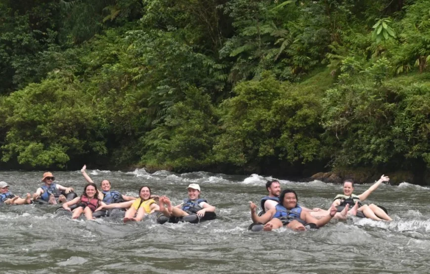 Highland Village Homestay Experience in Fiji