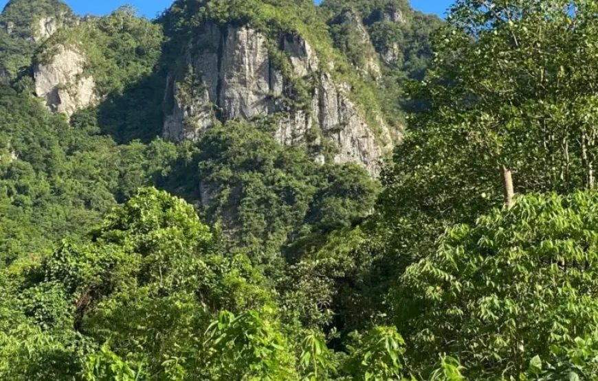 Highland Village Homestay Experience in Fiji