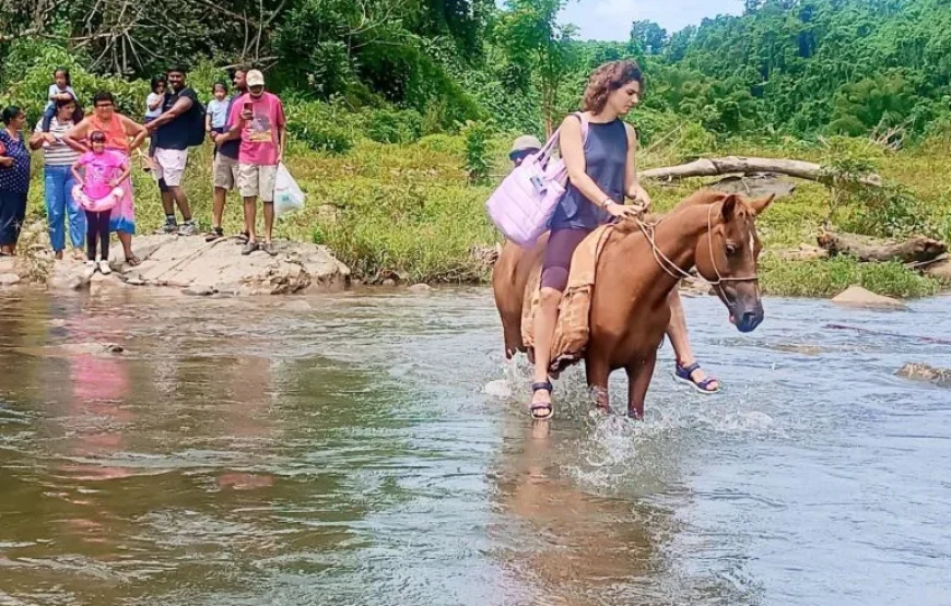 Highland Village Homestay Experience in Fiji