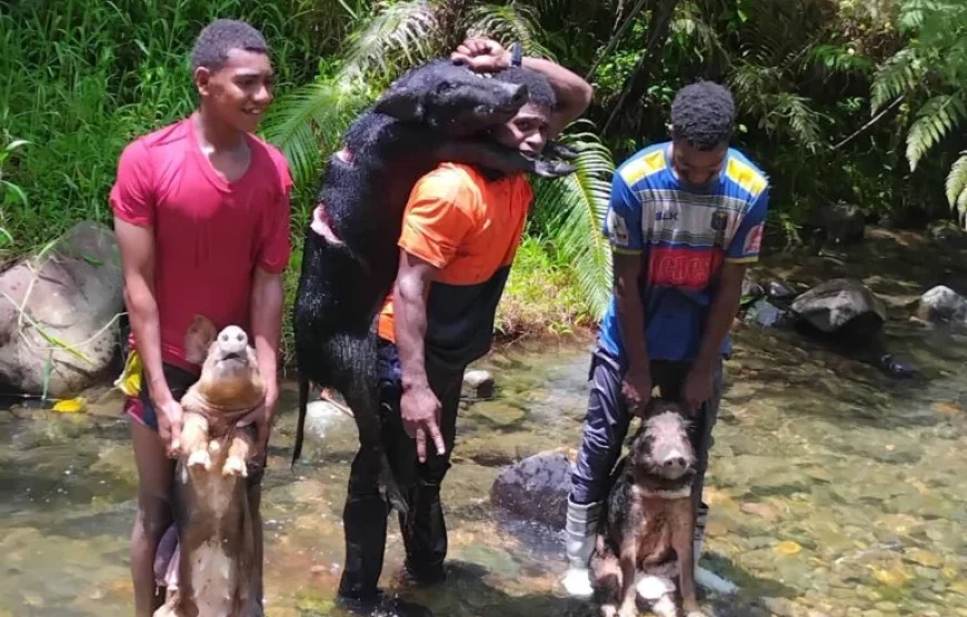 Highland Village Homestay Experience in Fiji